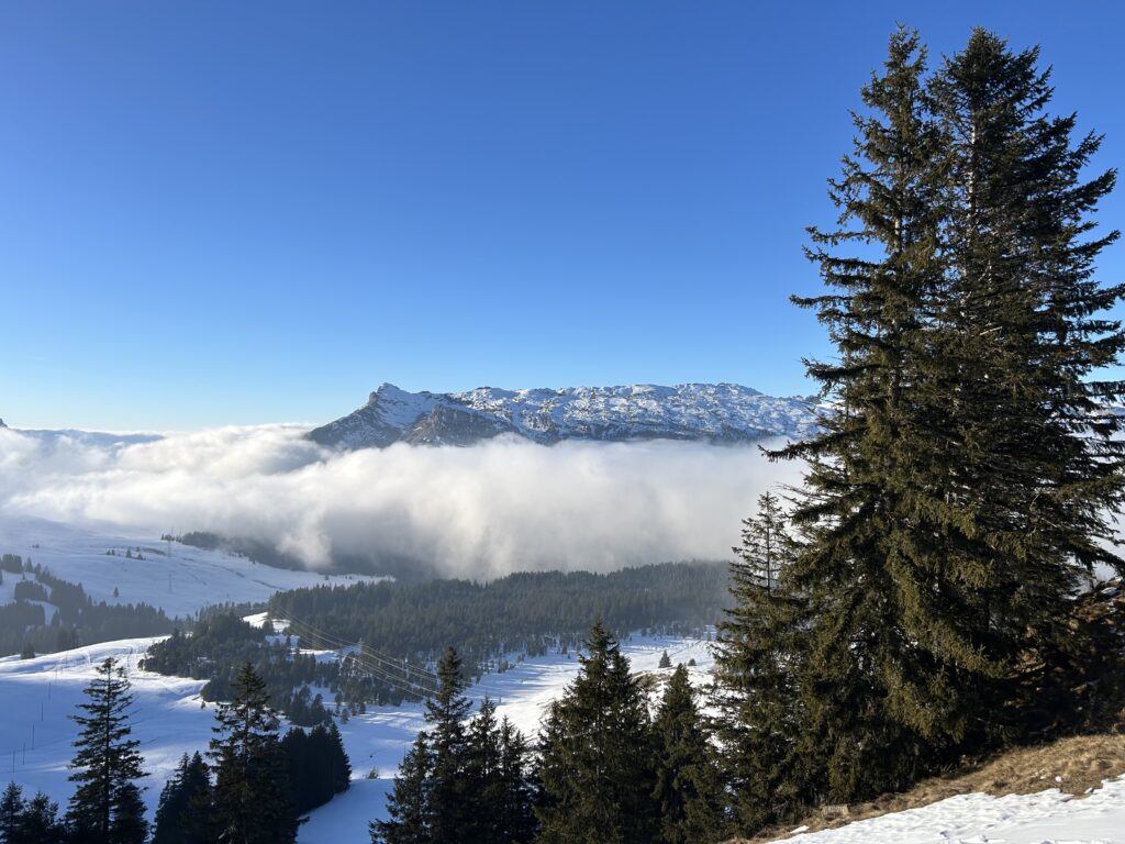 Aussicht Bergstation Steinetli